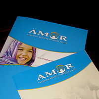 AMOR presentation folder and brochure